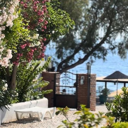 Yueksel Butik Hotel Bodrum Buitenkant foto